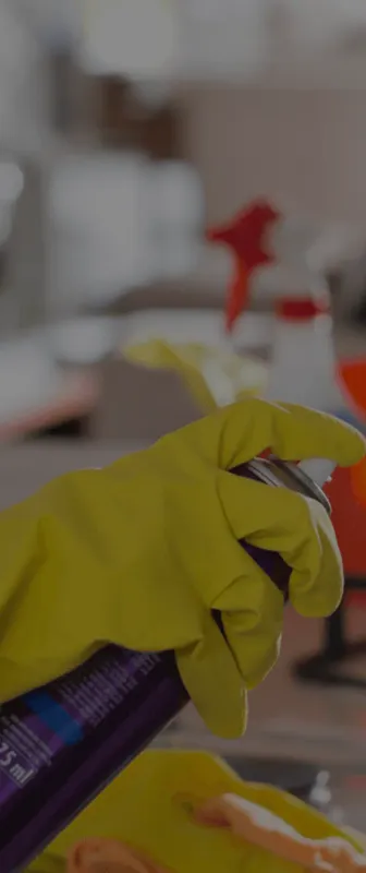 Cleaners Available in Oregon